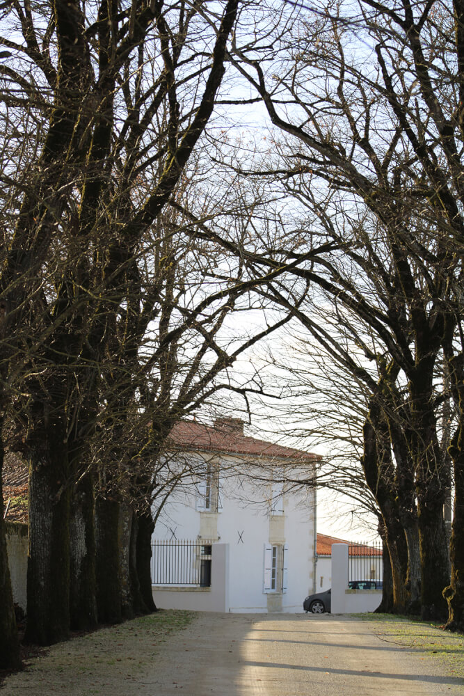Entrée